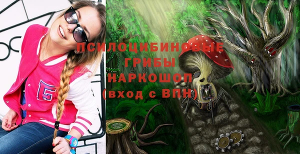 кристаллы Няндома