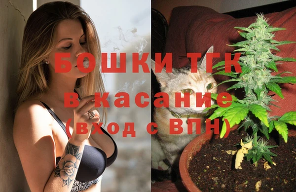 трава Новозыбков