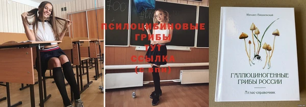 прущая мука Тында