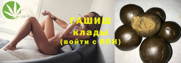 индика Осташков