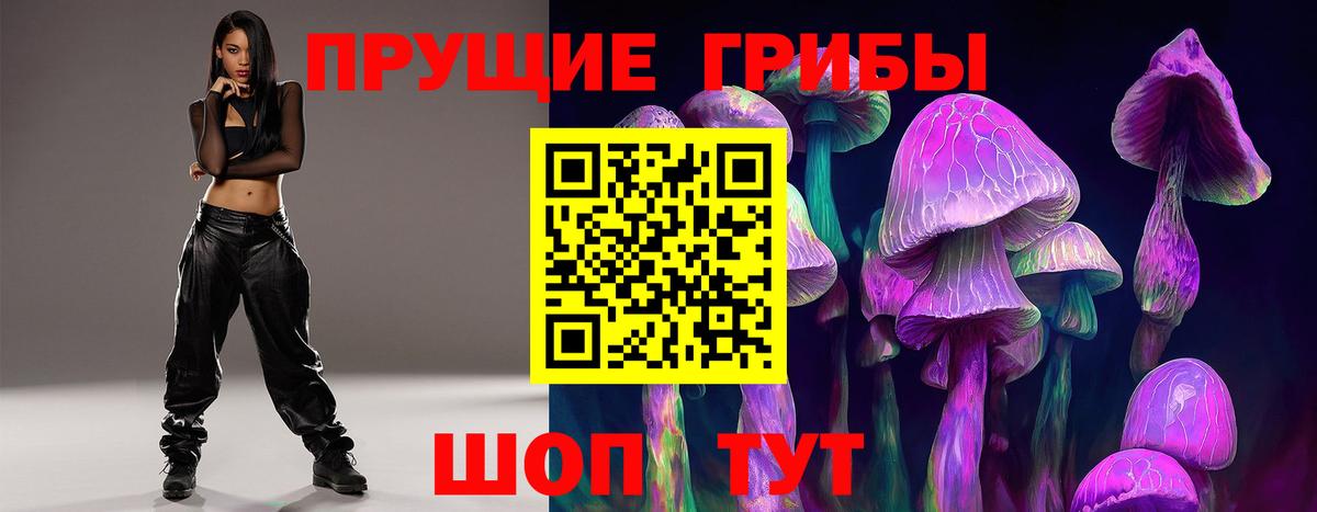 Псилоцибиновые грибы Cubensis  Вход с VPN  Богданович 