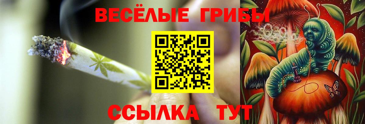 купить   Богданович  Галлюциногенные грибы Psilocybe 